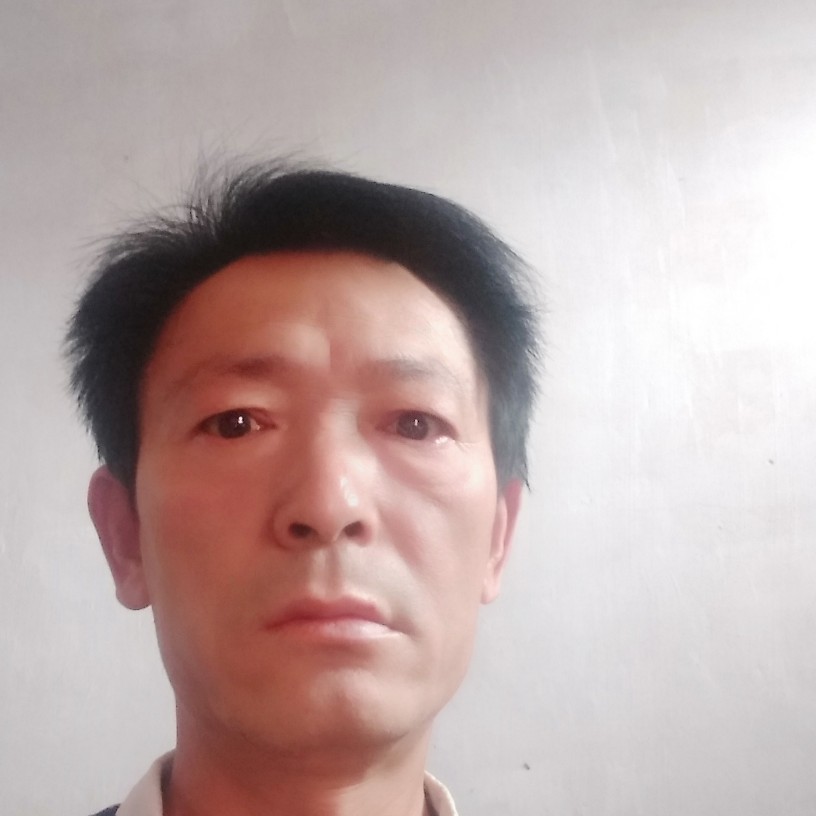 昏睡给月光的照片