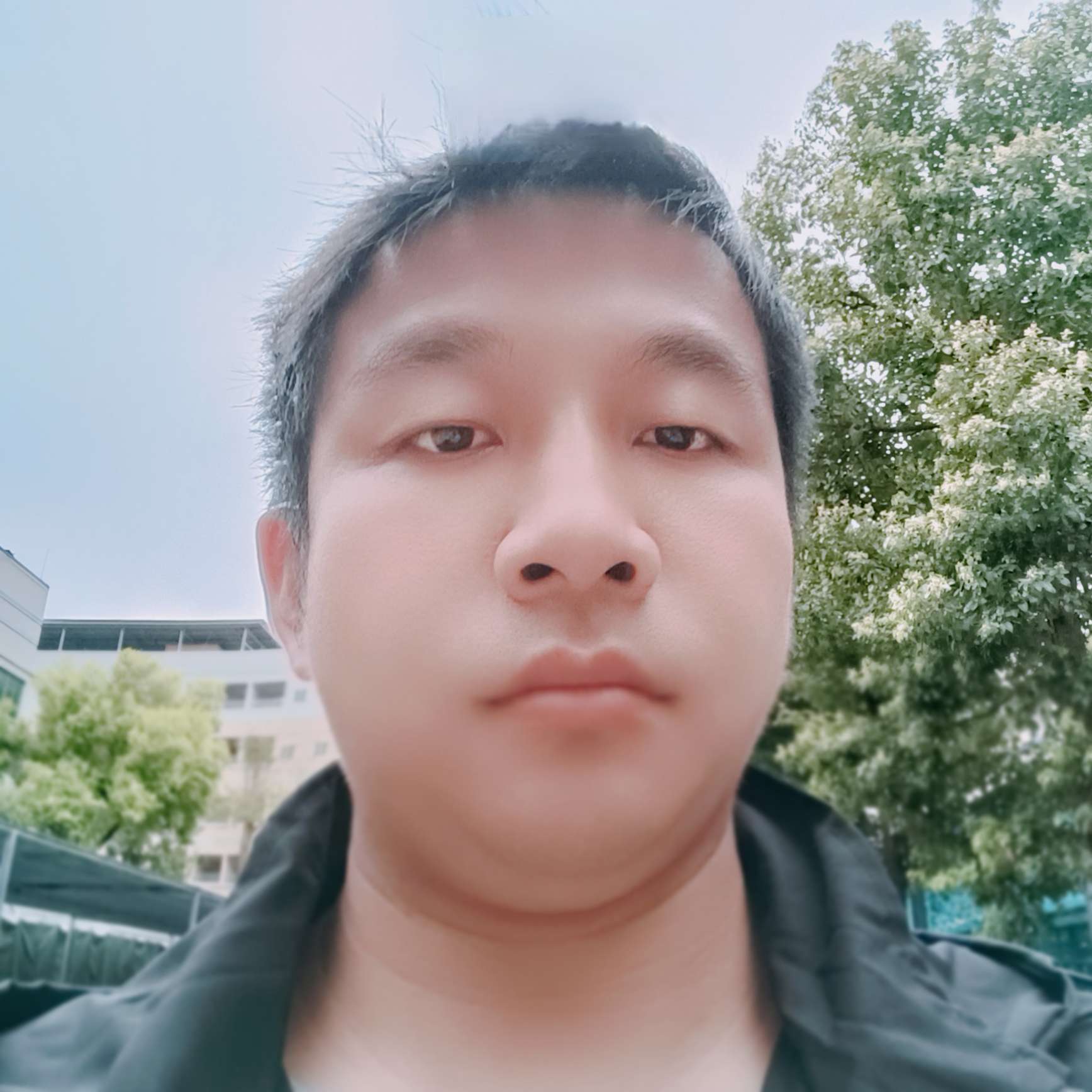 清风秀雅的照片