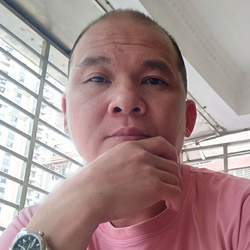 小鸽子孤独的照片