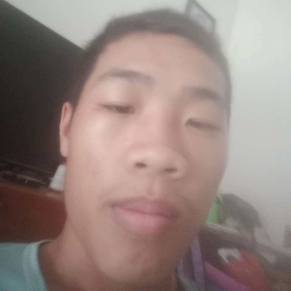 羽毛火星的照片