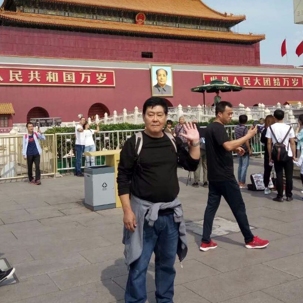 饱满有灰狼的照片