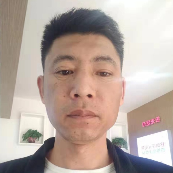 宝马寂寞的照片