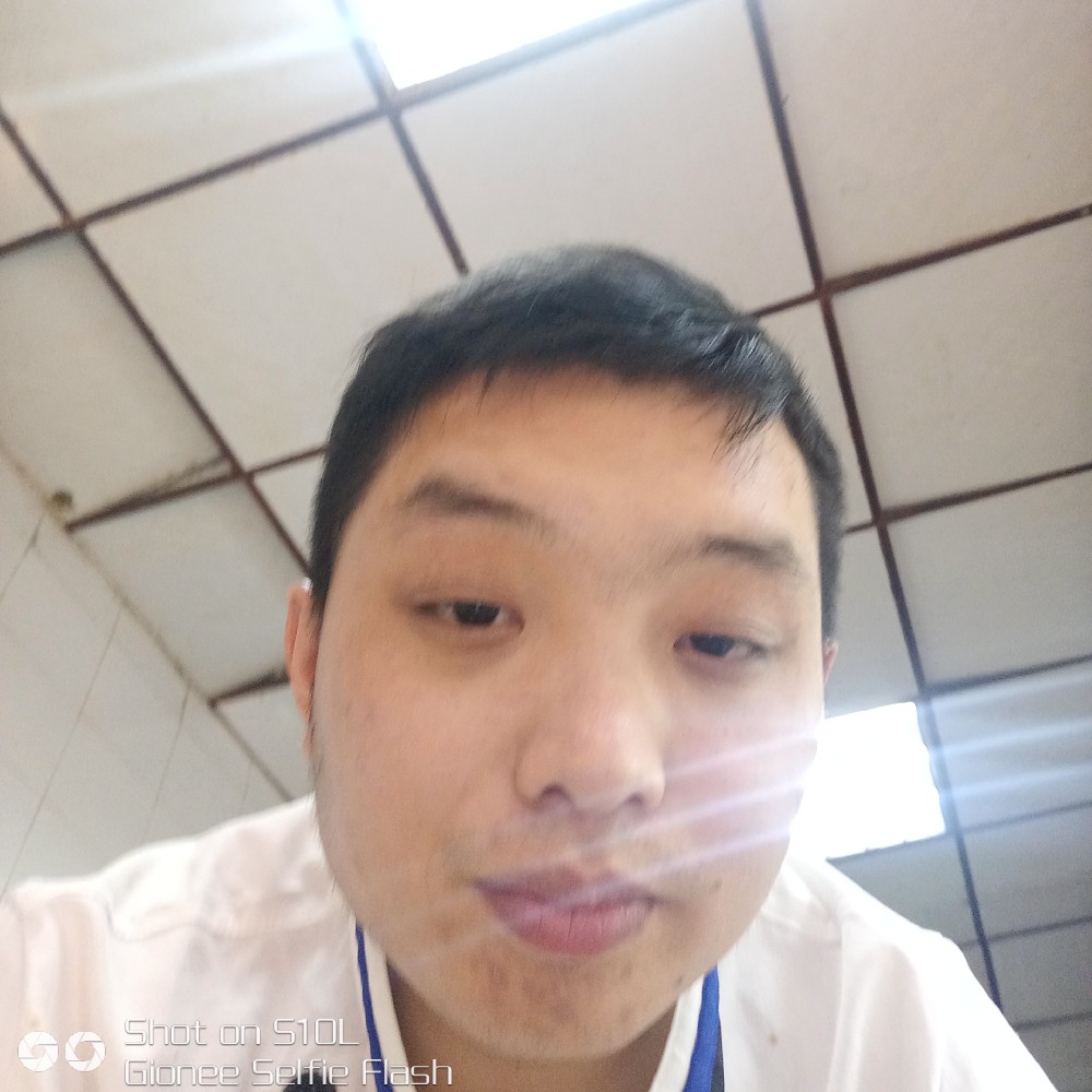 胡萝卜现代的照片