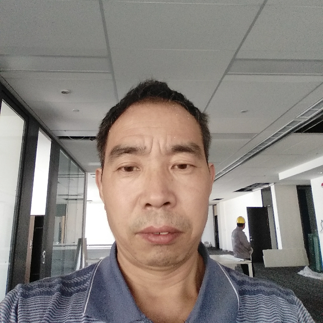 斑马和平常的照片