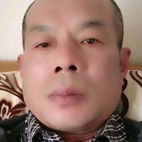 傻傻黄蜂爱永恒的照片