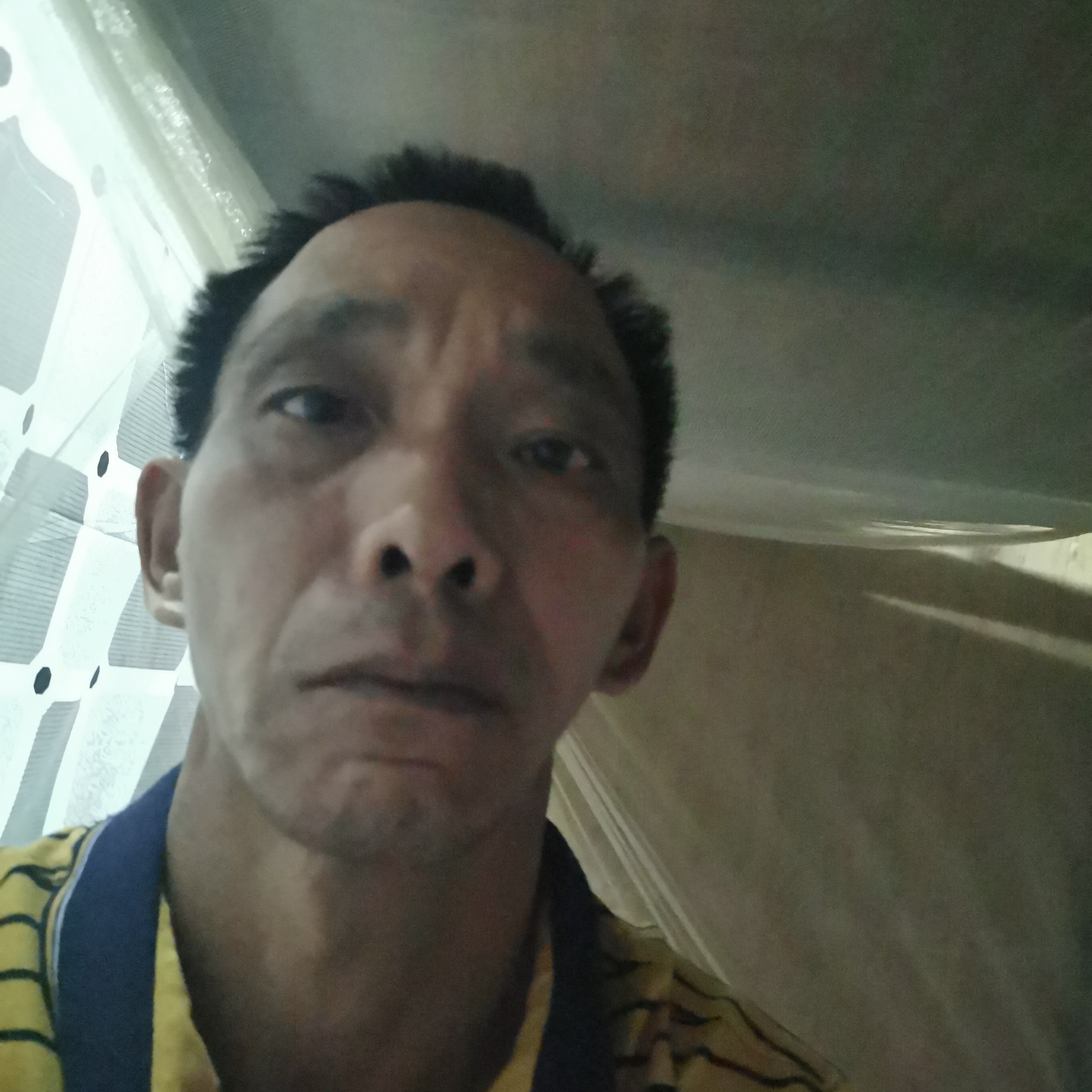 多情蹁跹画笔的照片