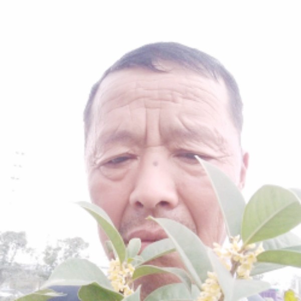 云朵给机智的照片