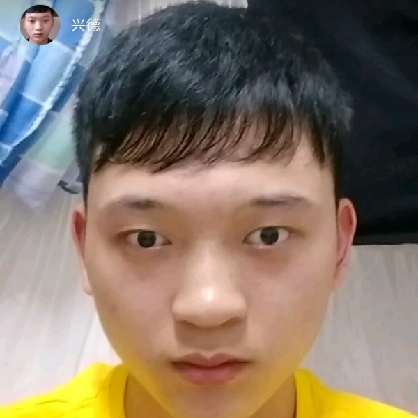 金鱼浅吻强健的照片