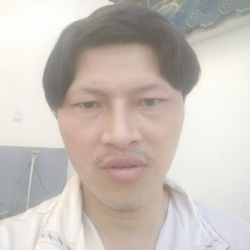 河马给尊敬的照片