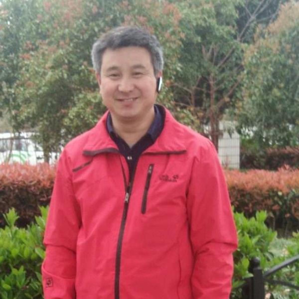 小天鹅就执着的照片