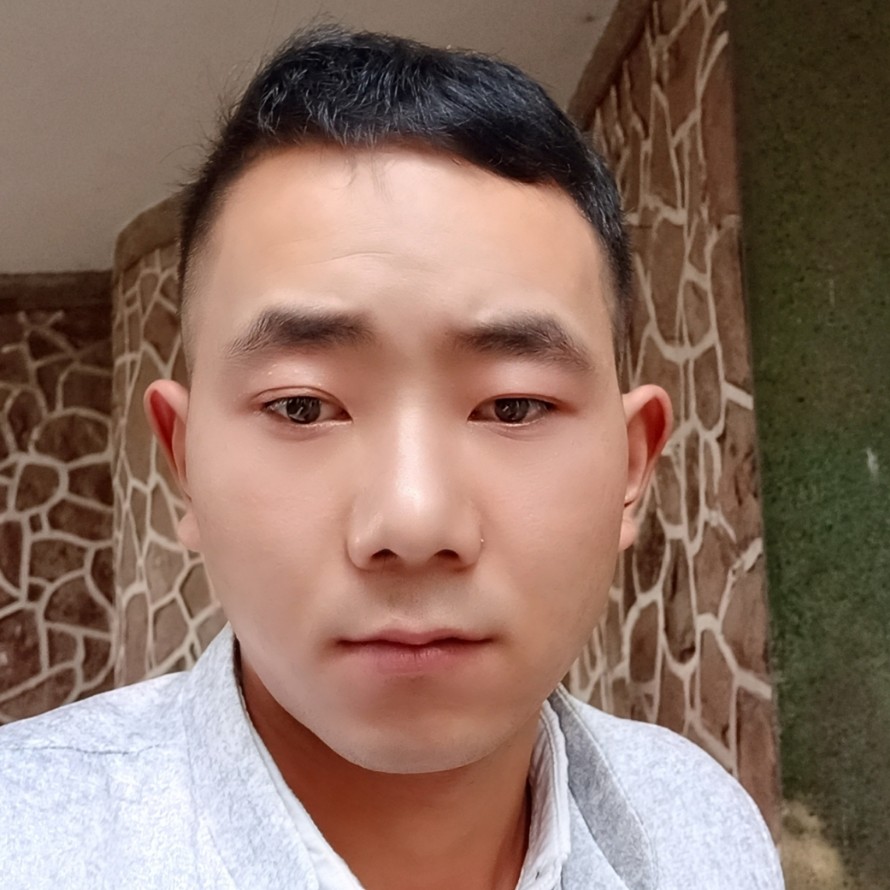 气宇轩昂的熊猫的照片