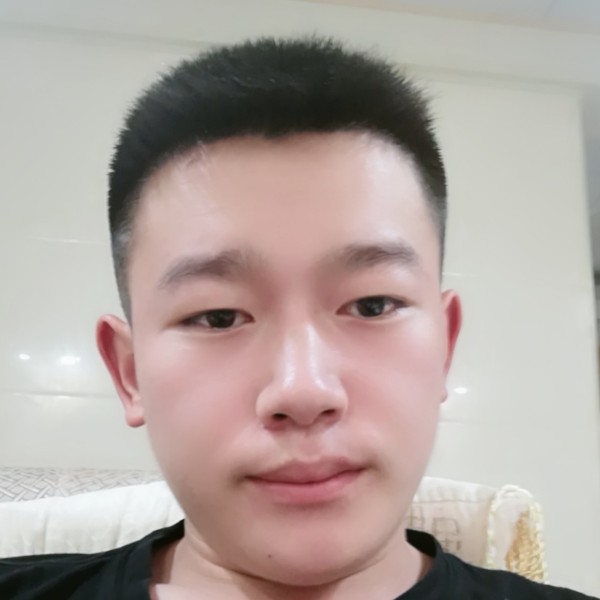 柏拉图H的照片