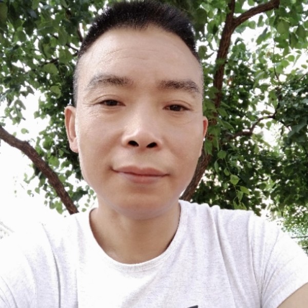 大笨的照片