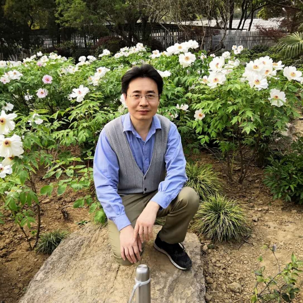 柱子南京的照片