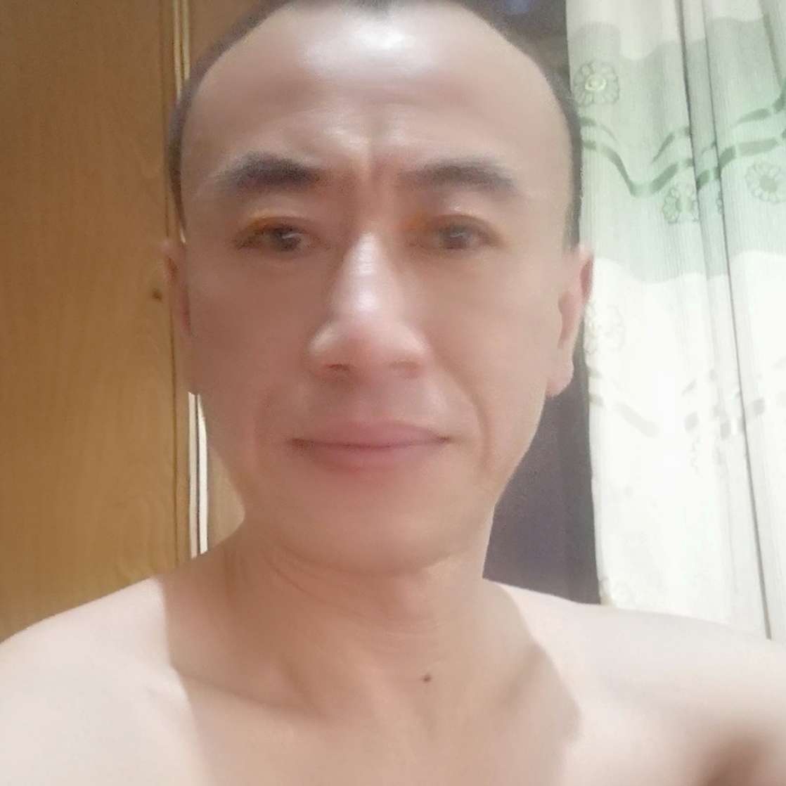 舒适还小蚂蚁的照片