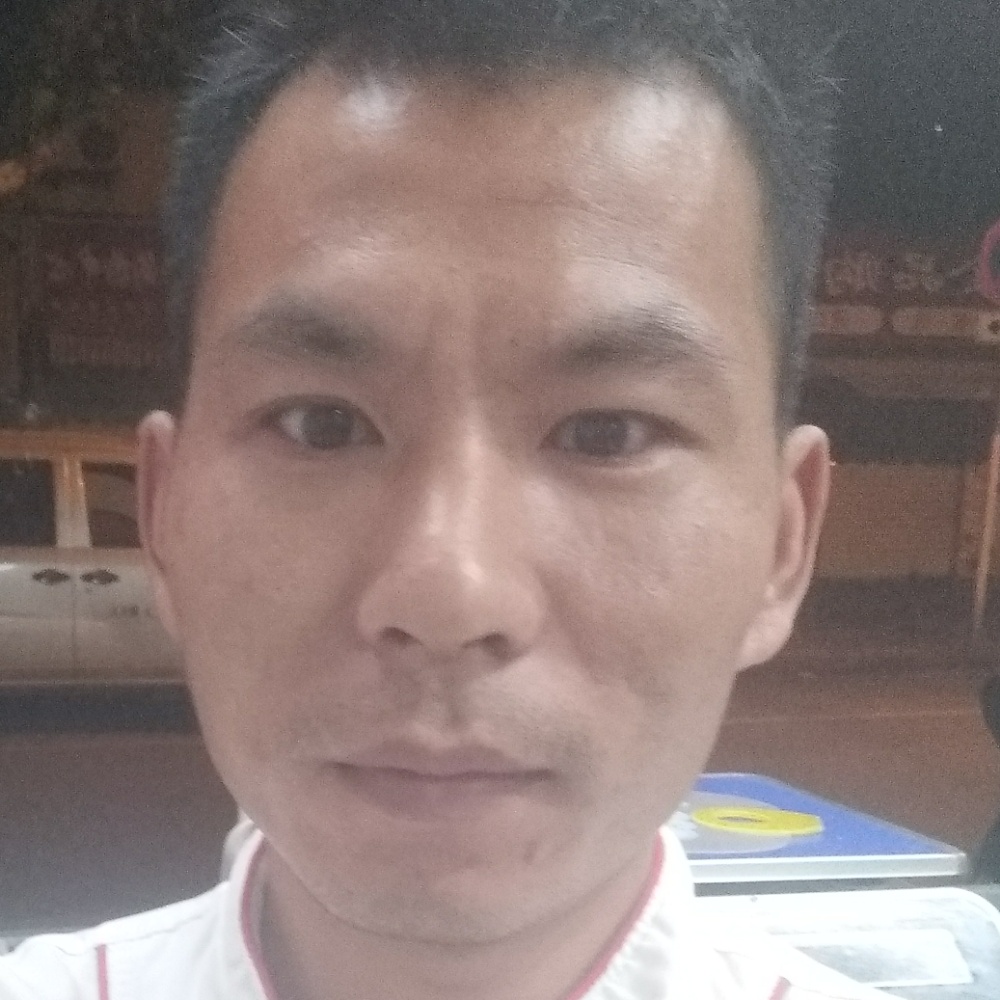 丢了幸福的猪猪的照片