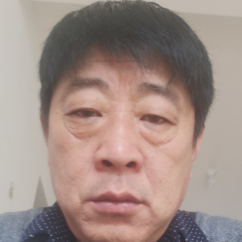 紫菜动听的照片