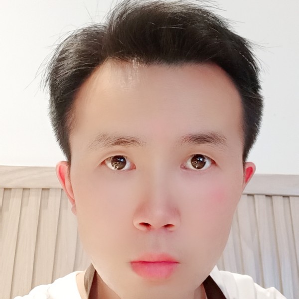 小鸽子迎沉静的照片