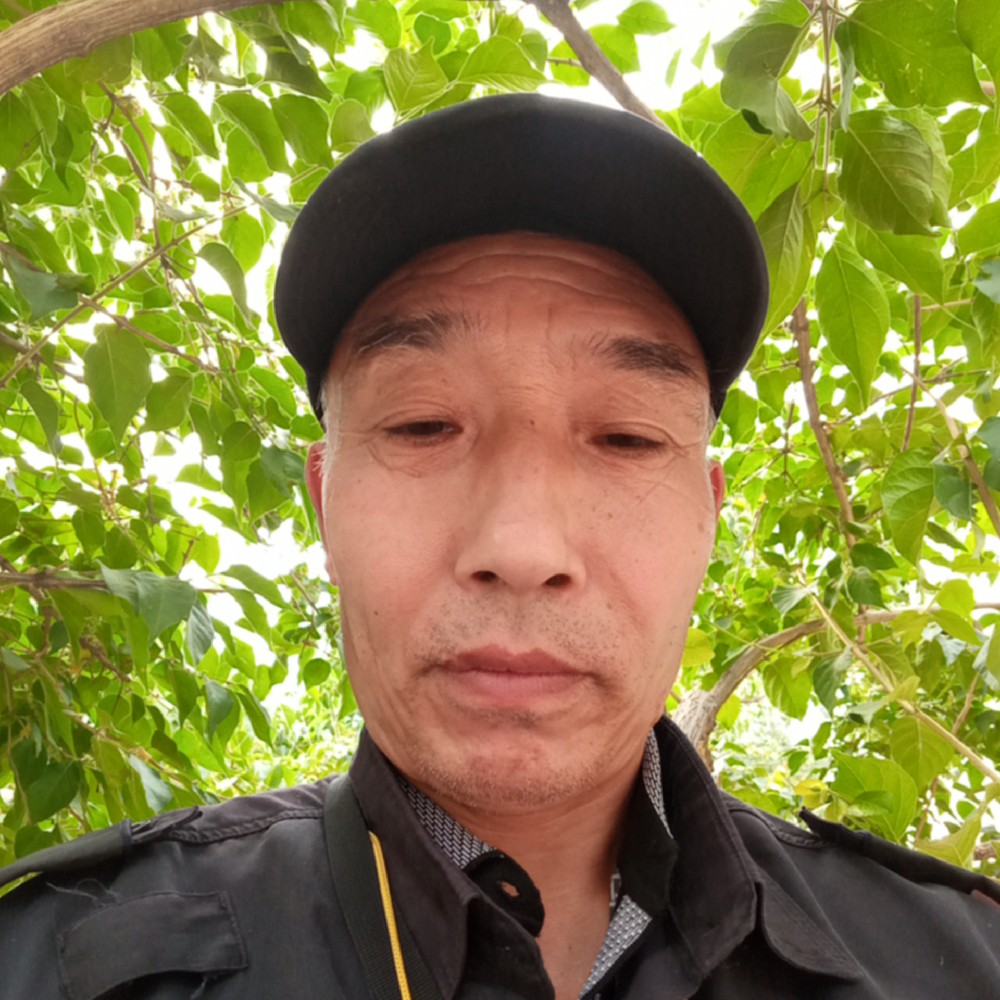 端庄与小丸子的照片