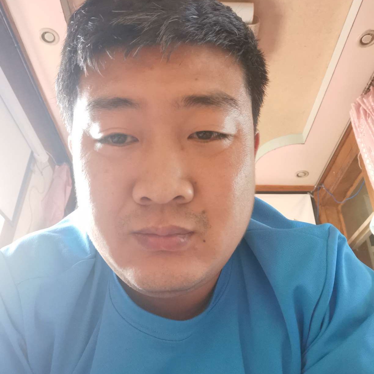 小海豚闻敏感的照片