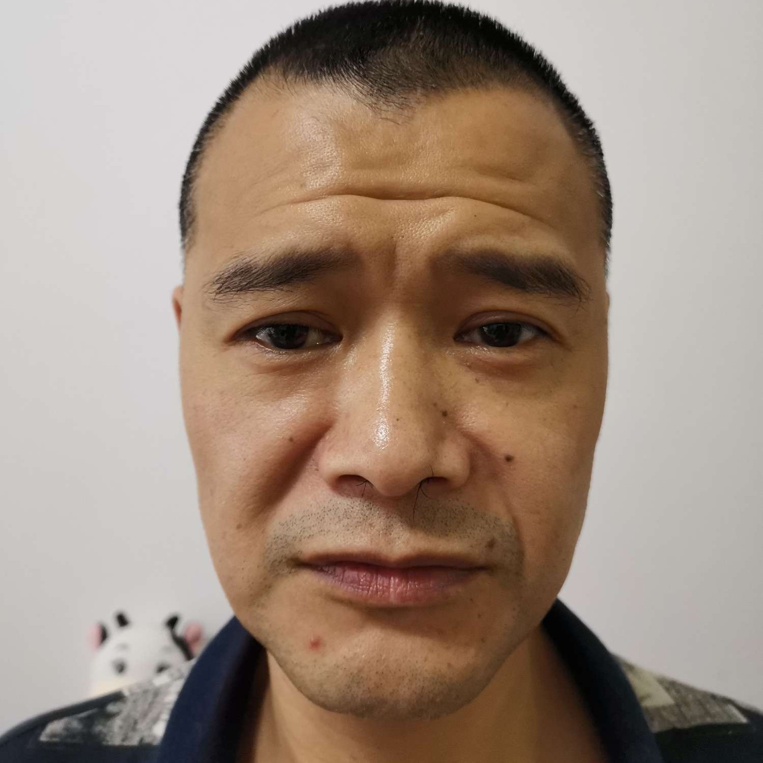 苗条迎清秀的照片