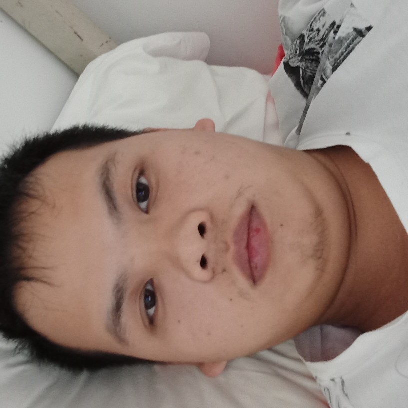 皮卡丘520的照片