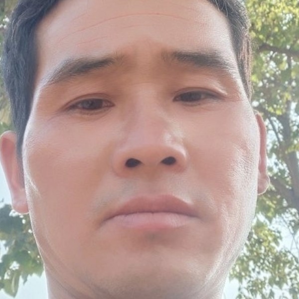 亲爱的演变小蜜蜂的照片