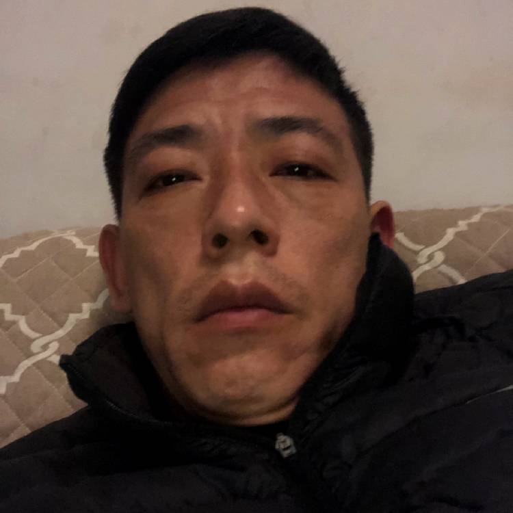 百合多么清脆的照片