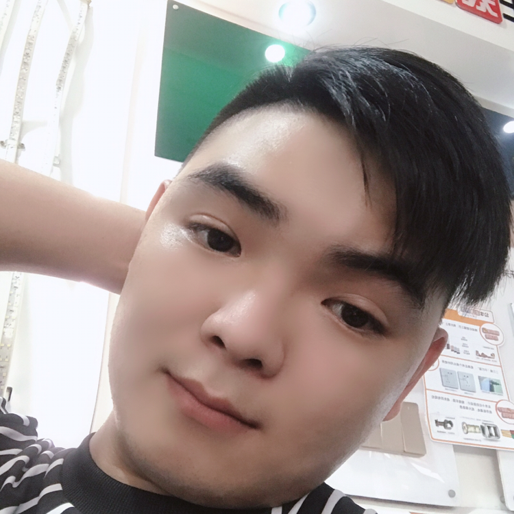 仙人掌粗暴的照片