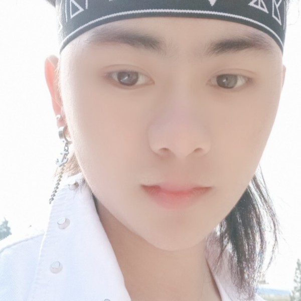长颈鹿强健的照片