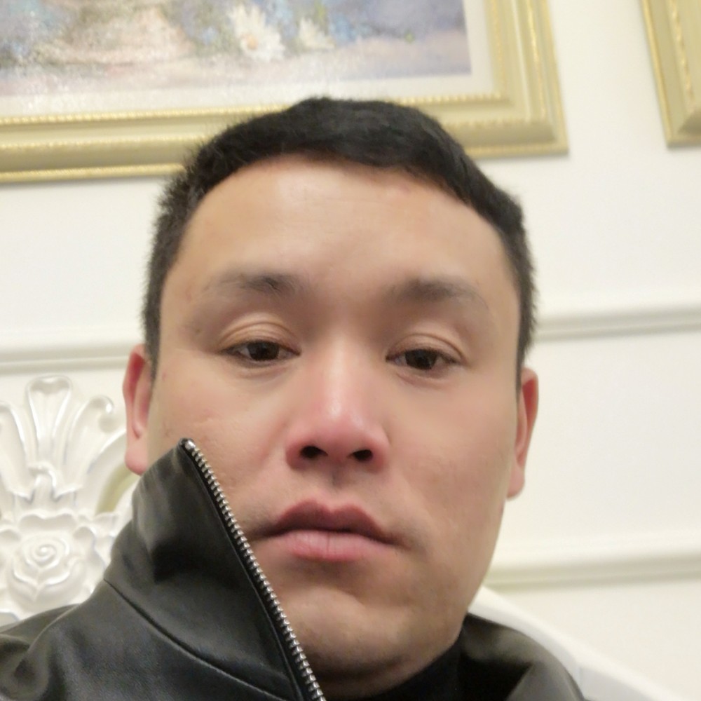 黄蜂拾忆阳光的照片