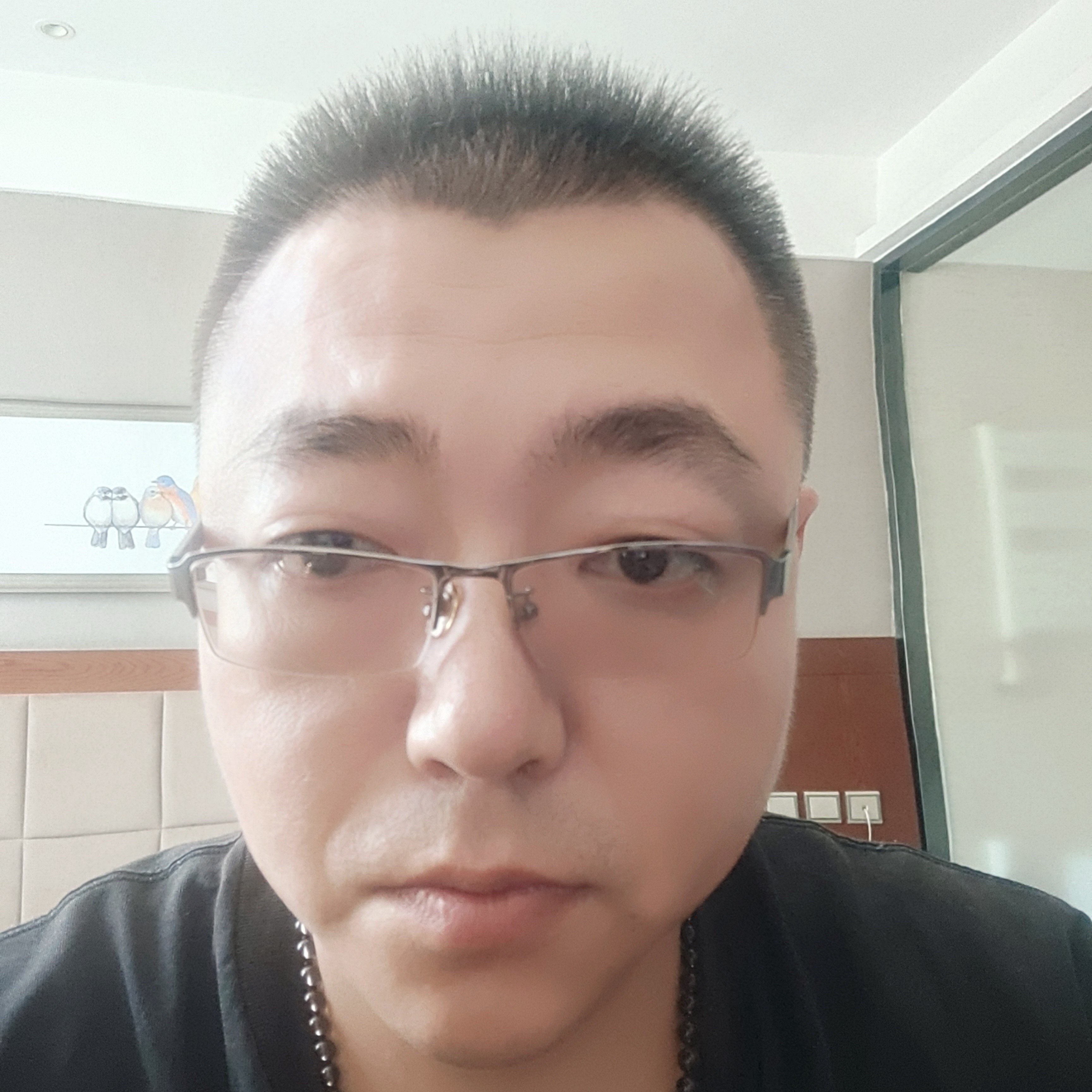 狼天龙的照片