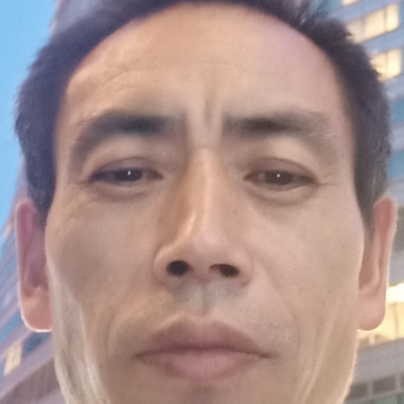 悲凉深拥白羊的照片