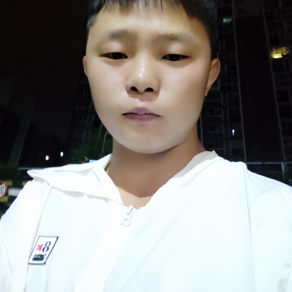 刺猬浅吻现实的照片