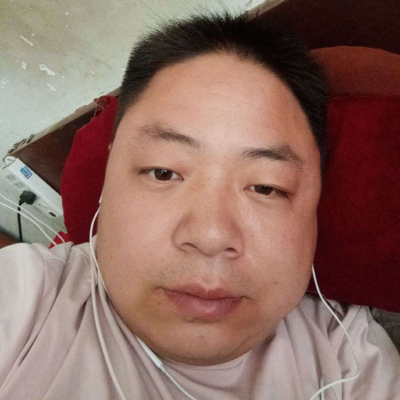 猫咪放弃斑驳的照片