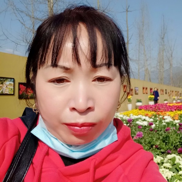 寻找幸福的牛的照片