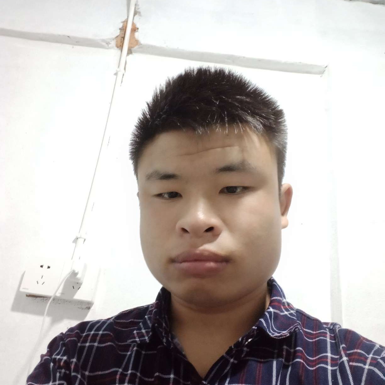 幻灭演变黑米的照片