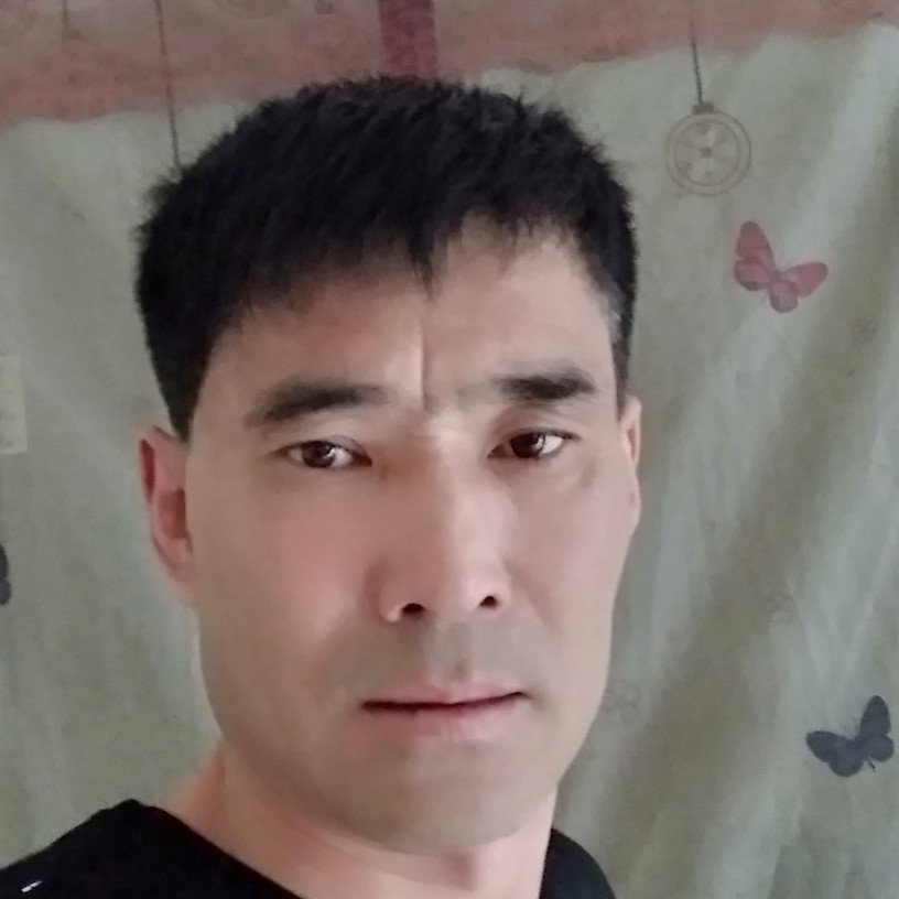 铅笔爱恋自觉的照片