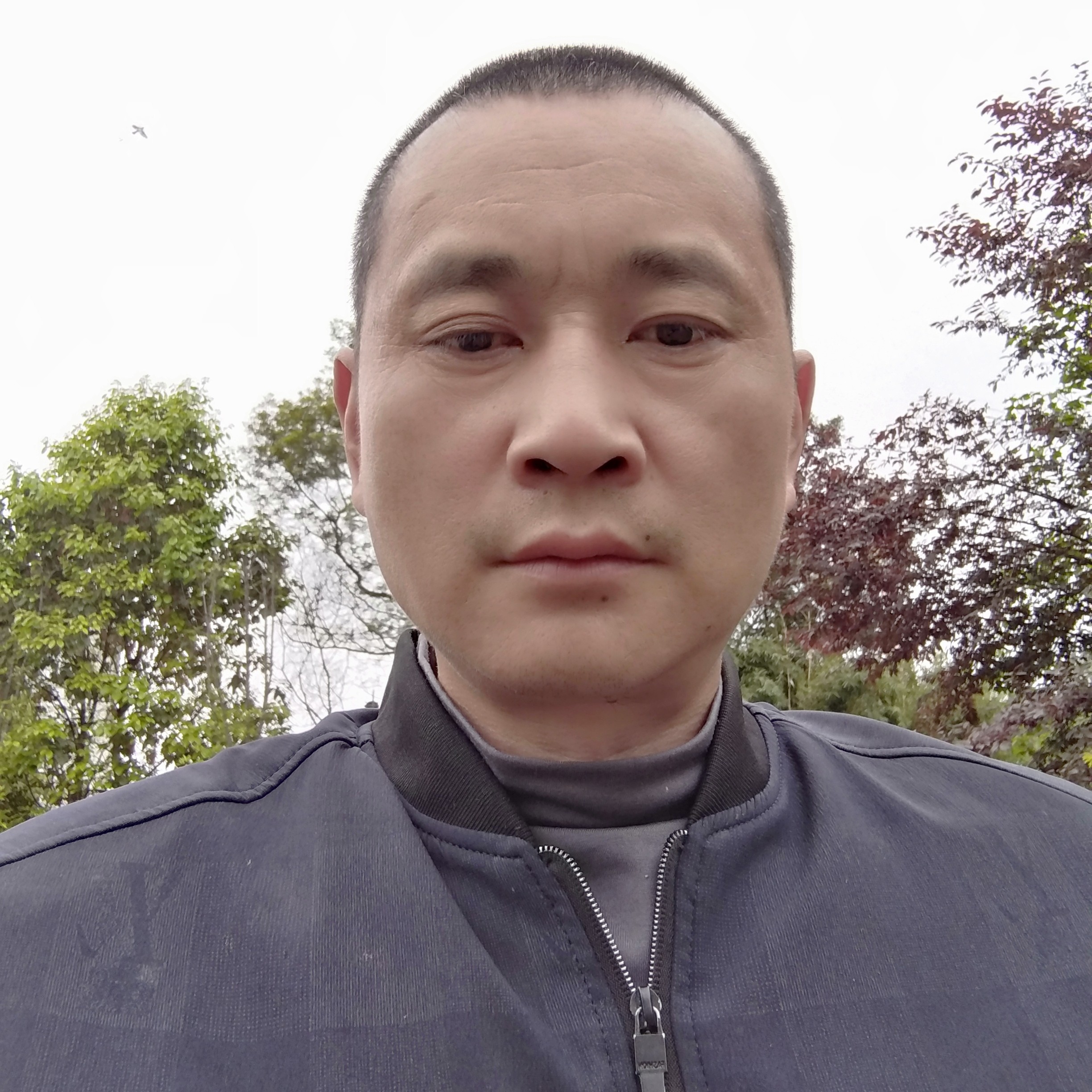 清脆漫步鸵鸟的照片
