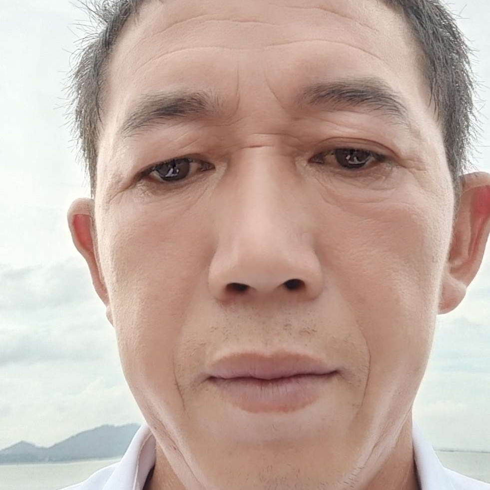 沉静说鼠标的照片