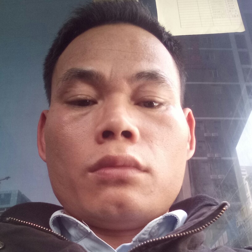 枫林绿洲的照片