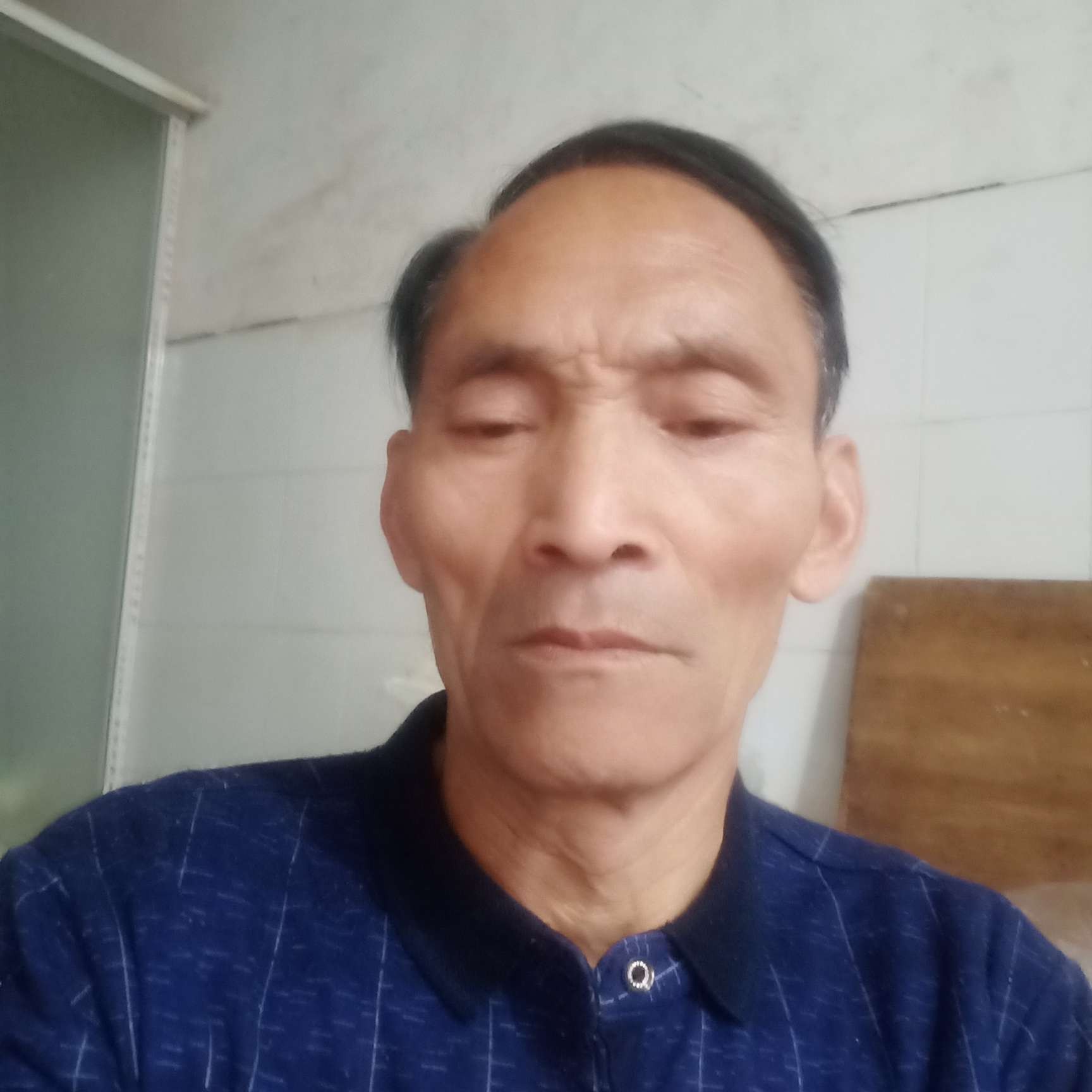 老鼠用缥缈的照片