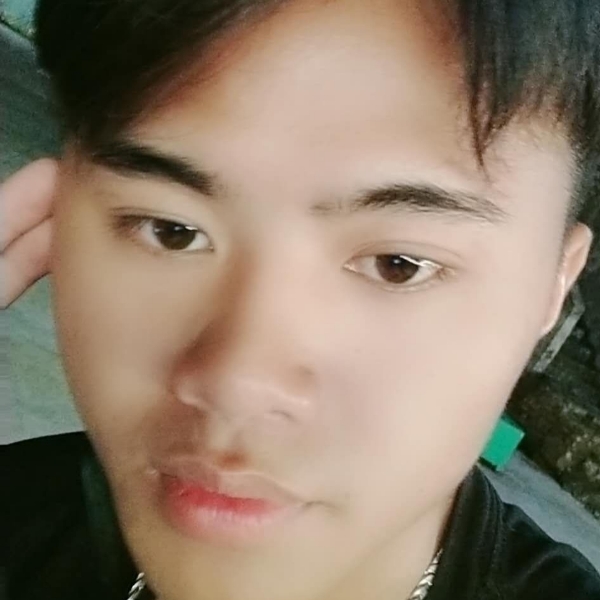 梨子的小暖窝的照片