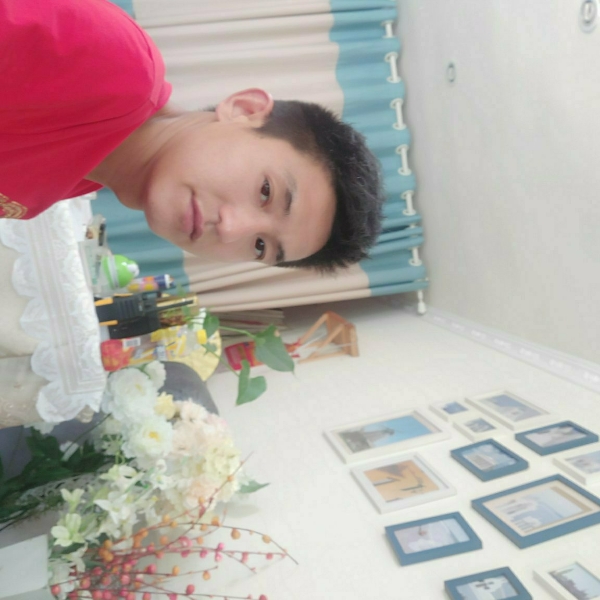 诺杰的照片