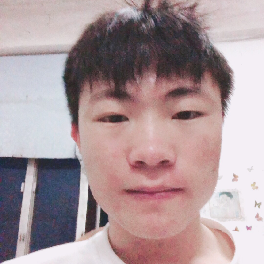 机智苦恋小刺猬的照片