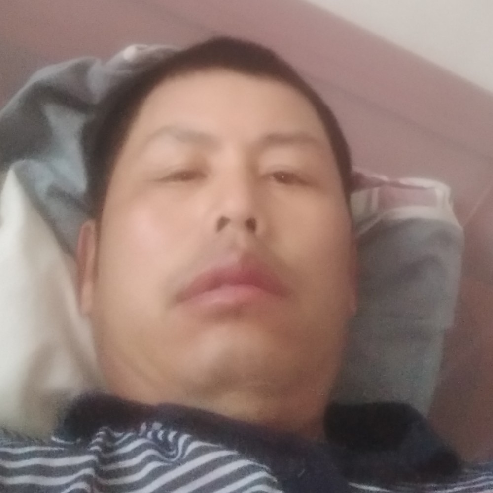 过路来客的照片