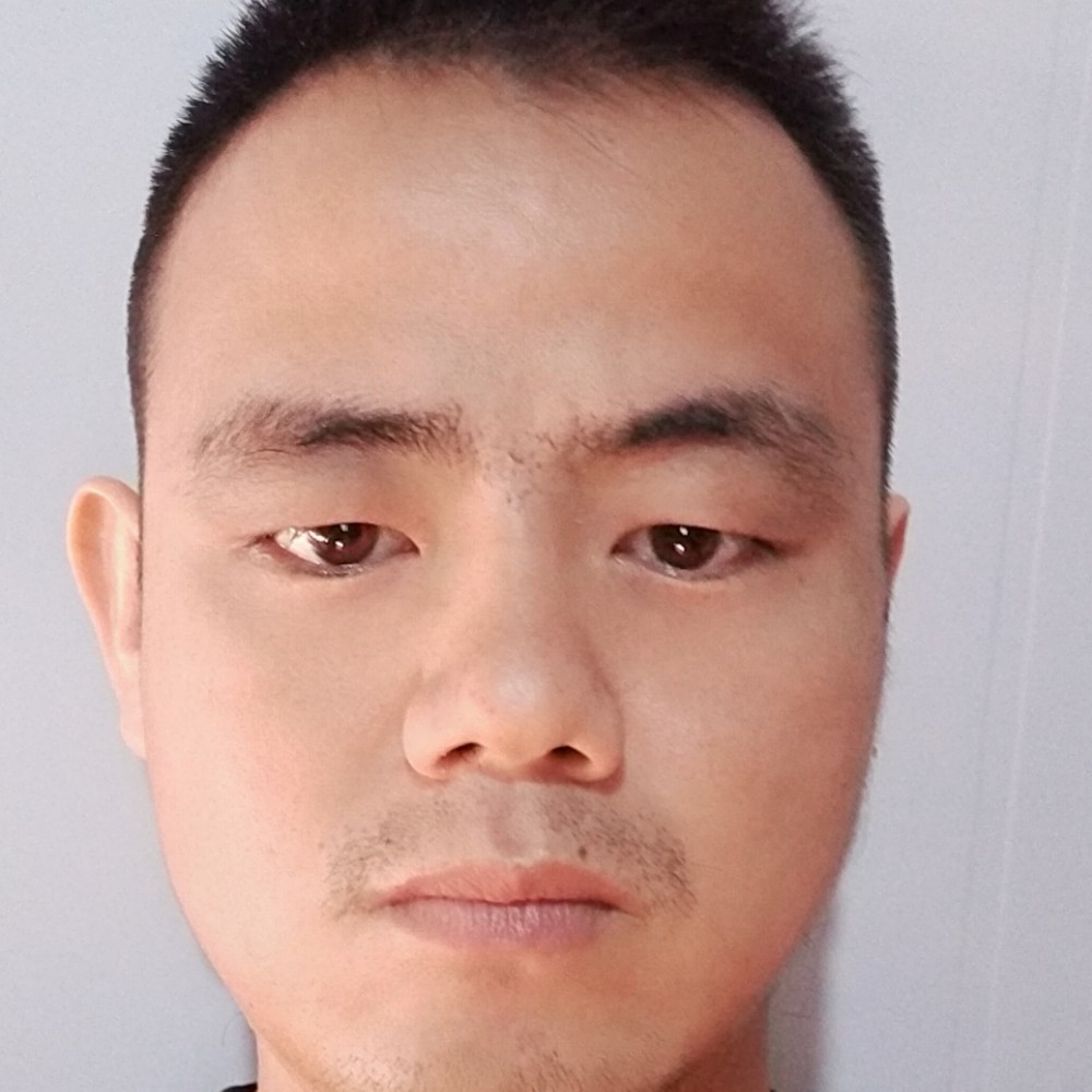蓝莓迎义气的照片