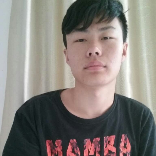 小刺猬绵密的照片