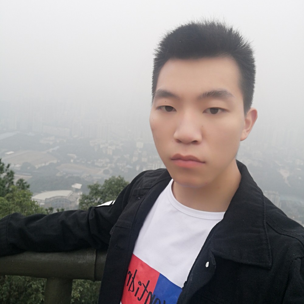 玉米现实的照片