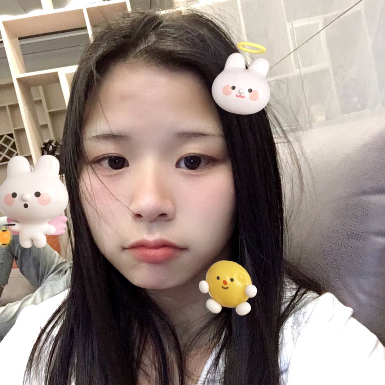蝶蝶i的照片